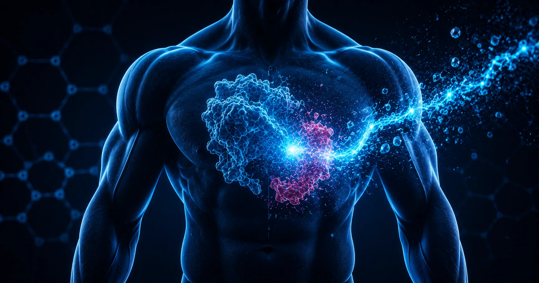 Aromasin Bodybuilding: How to Use Exemestane on Cycle